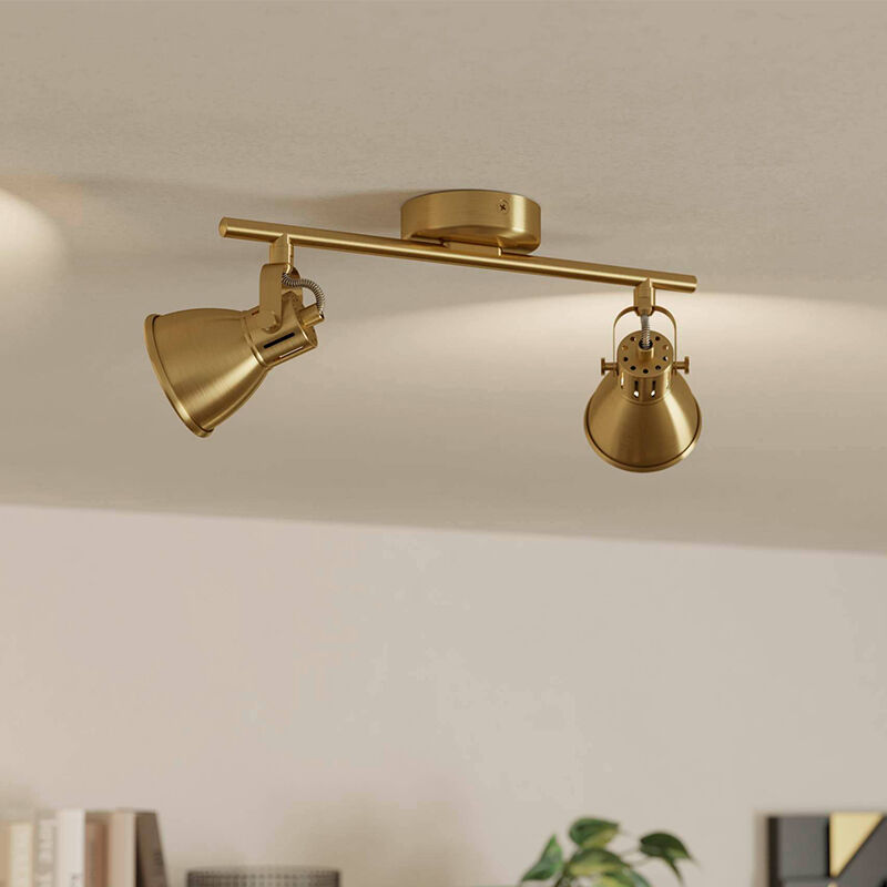 Goldene industrielle Deckenstrahler Aluminium, Tinke