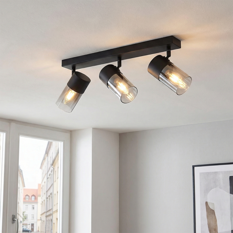 Moderne Deckenstrahler Schwarz, Huy