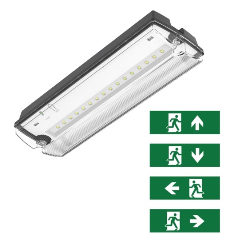 Schwarze Notbeleuchtung inkl. Piktogramme, Pedram, 3W, 6500K LED, IP66
