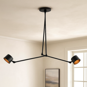 Moderne Deckenleuchte Schwarz, Rinke