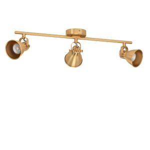 Goldene industrielle Deckenstrahler Aluminium, Tinke