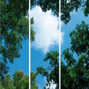 Fotodruck Wolke mit Wald - Set aus 3 Acrylplatten mit Aufdruck, für 120x60 cm LED-Panels