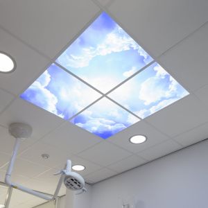 Fotodruck Wolke - Set aus 2 Acrylplatten mit Aufdruck, für 60x60 cm LED-Panels