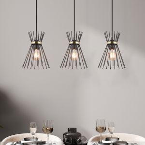 Schwarze Pendelleuchte Industrial, Fransiscus