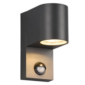 Anthrazit Außen Wandleuchte mit Bewegungsmelder Modern, Laurien, IP44