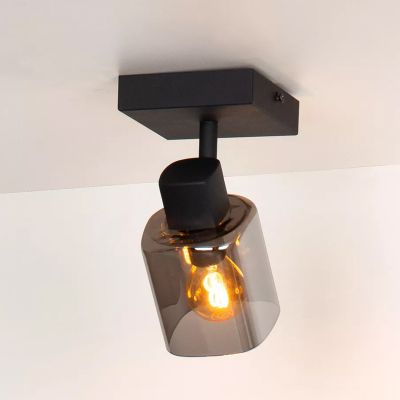 Graue Deckenstrahler Antik, Alion