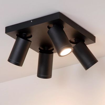 Schwarze Deckenstrahler Modern, Taylor, IP44