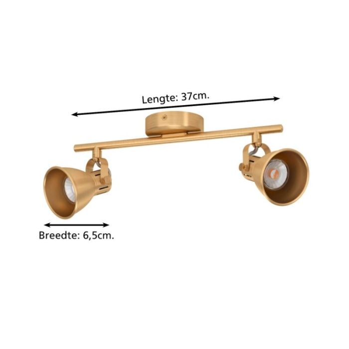 Goldene industrielle Deckenstrahler Aluminium, Tinke