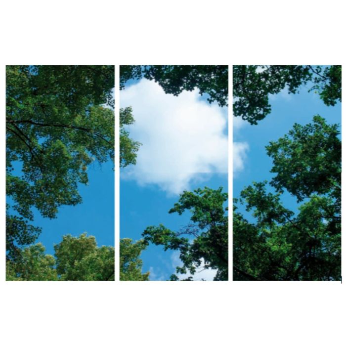 Fotodruck Wolke mit Wald - Set aus 3 Acrylplatten mit Aufdruck, für 120x60 cm LED-Panels