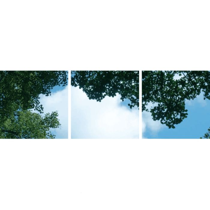 Fotodruck Wolke mit Wald - Set aus 3 Acrylplatten mit Aufdruck, für 60x60 cm LED-Panels