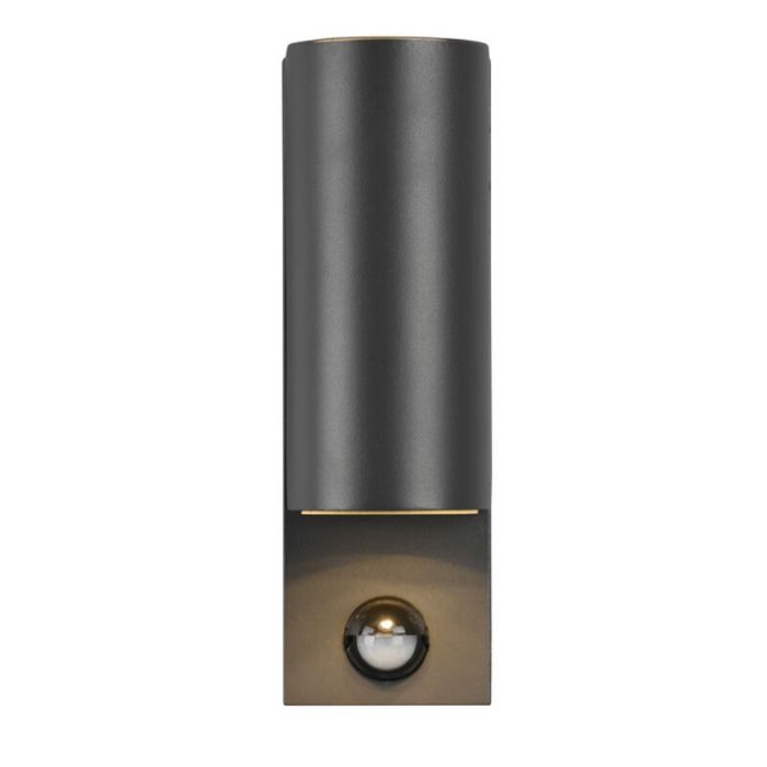 Anthrazit Außen Wandleuchte mit Bewegungsmelder Modern, Laurien, IP44